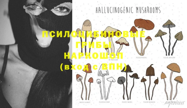 гидра Балабаново