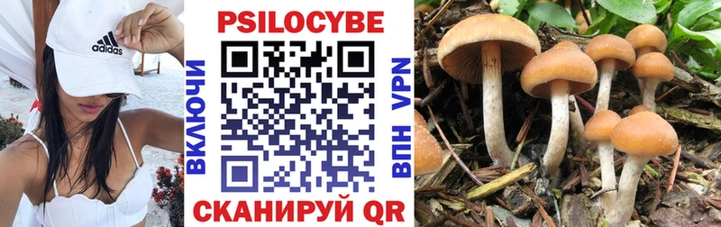 купить наркотики цена  Куйбышев  Галлюциногенные грибы GOLDEN TEACHER 